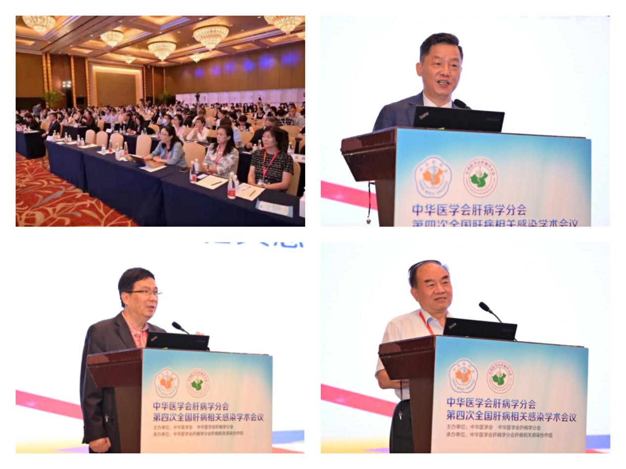 聚焦學(xué)術(shù)前沿，共迎肝病防治新征程！福瑞股份以學(xué)術(shù)助力中醫(yī)藥發(fā)展